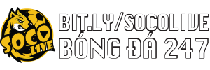 bài tập thể dục buổi sáng